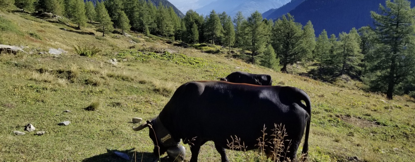 Autour du Mont-Blanc