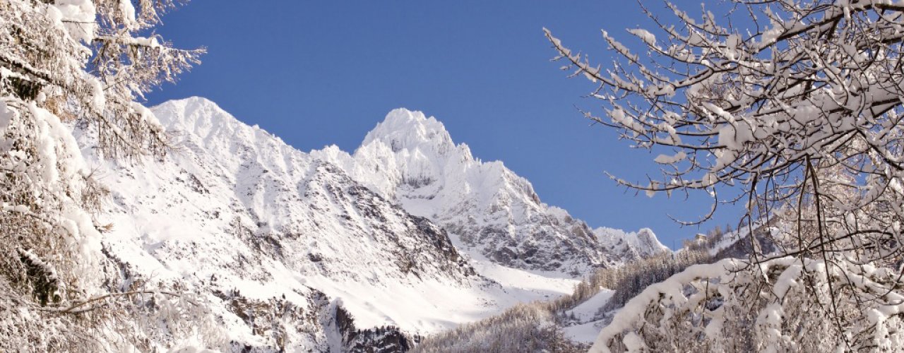 All inclusive Trip in Chamonix / Megève  summer - winter 